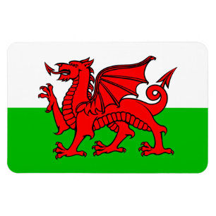 Walischer Roter Drache Wales-Flagge Magnet
