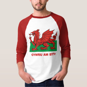 Waliser-Flagge, Cymru morgens byth T-Shirt