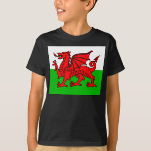 Waliser-Flagge T-Shirt