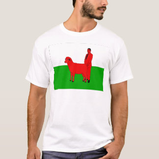 Waliser-Flaggespoof-T - Shirt