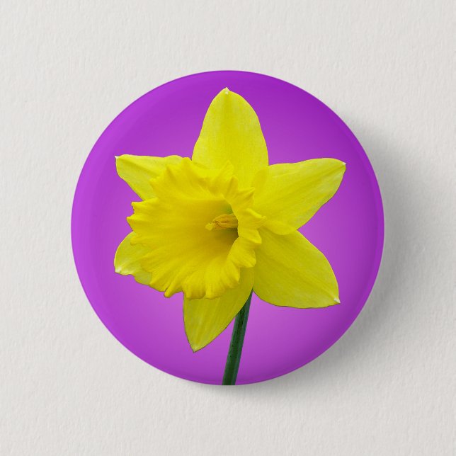 Waliser-Narzisse - III - rund Button (Vorderseite)
