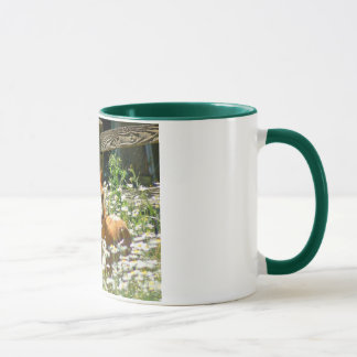 Waliser-Pony-Tasse Tasse