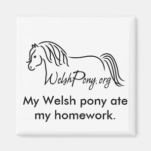 Waliser-Pony u. Pfeiler-Gesellschaft von Amerika Magnet