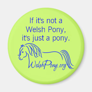 Waliser-Pony u. Pfeiler-Gesellschaft von Amerika Magnet
