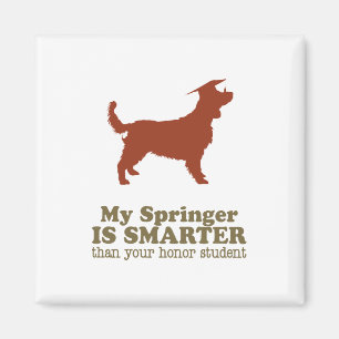 Waliser-SpringerSpaniel Magnet