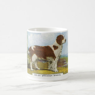 Waliser-SpringerSpaniel Tasse