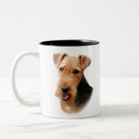 Waliser Terrier
