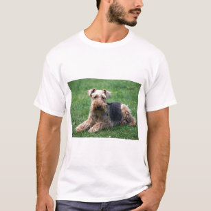 Waliser-TerrierhundeunisexT - Shirt, Geschenkidee T-Shirt