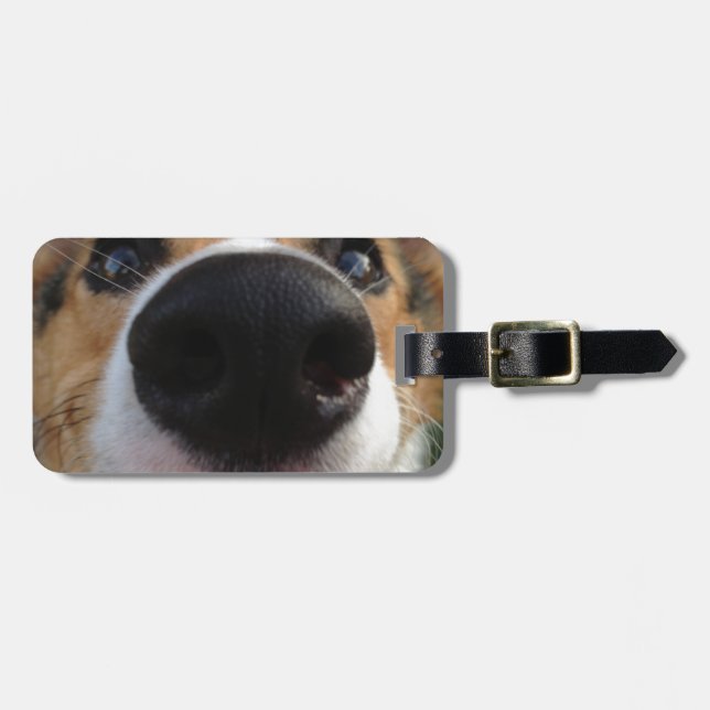 Walisercorgi-Hundenasen-Sammlung Gepäckanhänger (Vorderseite horizontal)
