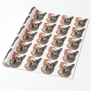 WaliserCorgi im Geschenkpapier