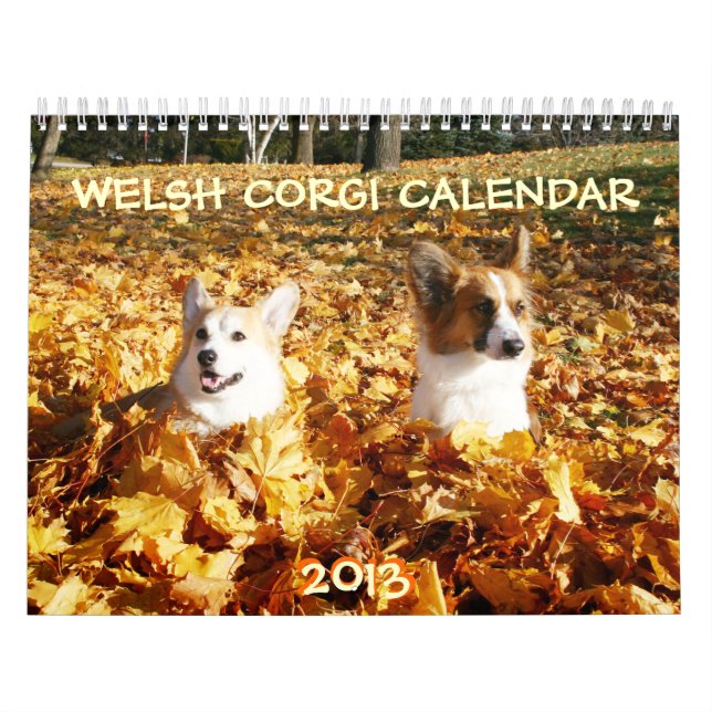 Walisercorgi-Kalender 2013 Kalender (Titelbild)