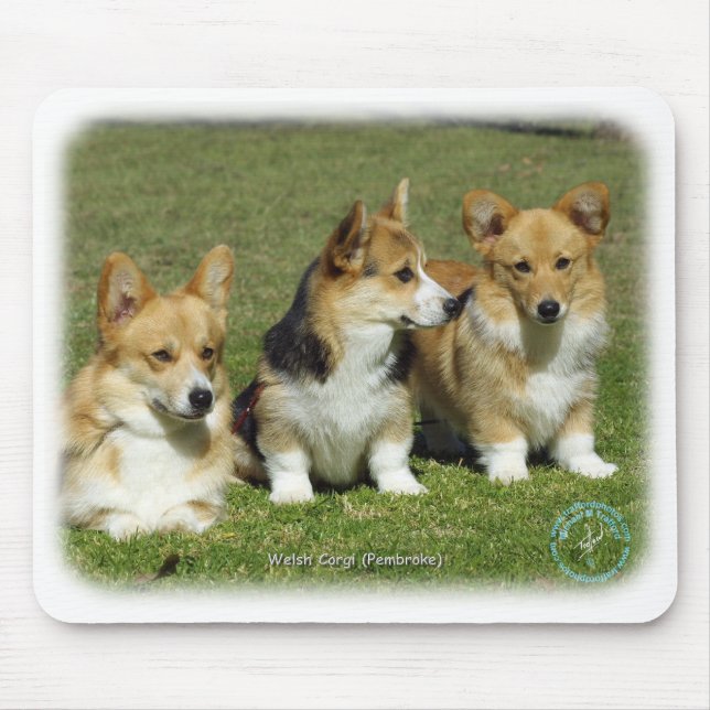 WaliserCorgi (Pembroke) Mousepad (Vorne)