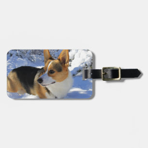 Walisercorgi-Schnee-Tag Gepäckanhänger