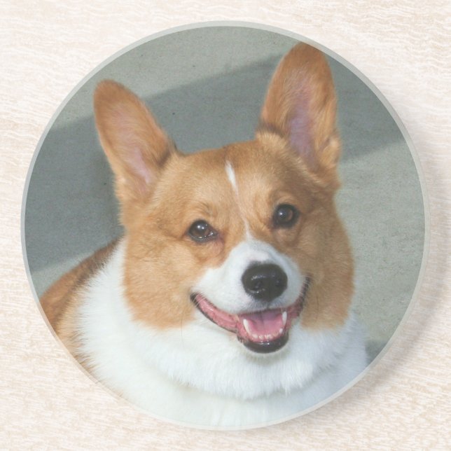 Walisercorgi-Untersetzer Sandstein Untersetzer (Vorne)