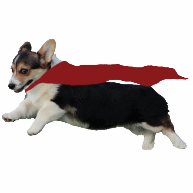 WaliserCorgiPembroke Fotoskulptur Ornament (Vorne)