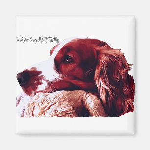 WaliserSpringerspaniel-Liebe Magnet