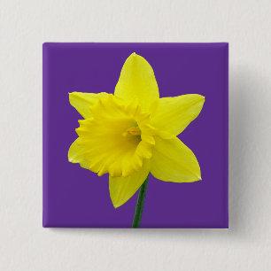 Walisisch Daffodil - II - Square Button