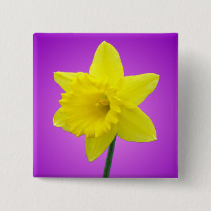 Walisisch Daffodil - III Button