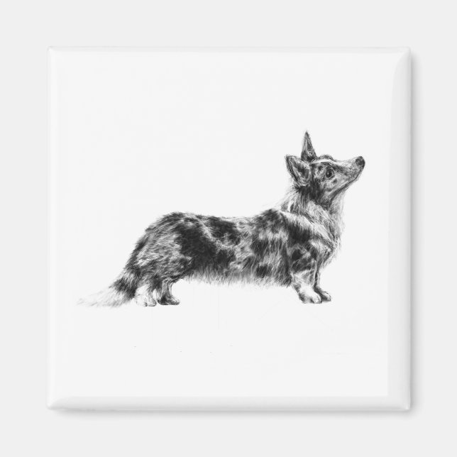 Walisische Cardigan Corgi Magnet (Vorne)
