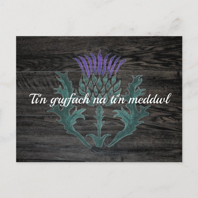 Walisische Cymraeg-Förderung Postkarte (Vorderseite)