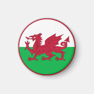 Walisische Flagge Magnet