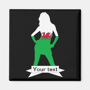 walisische Flagge Magnet