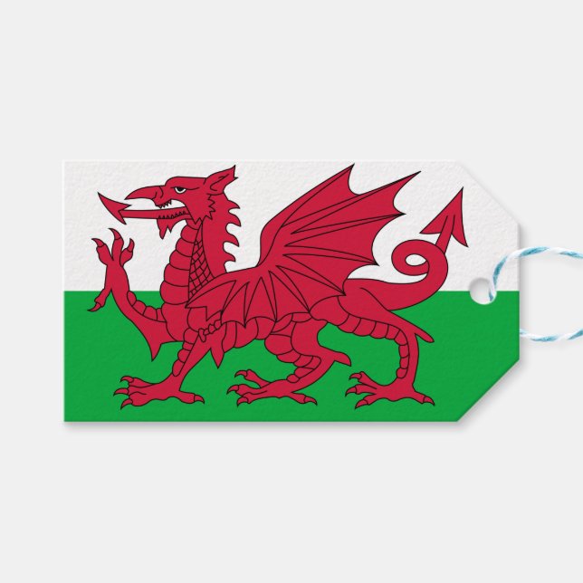 Walisische Flagge (Wales) (walisischer Drache) Geschenkanhänger (Vorderseite (Horizontal))