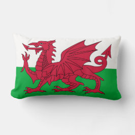 Walisische Flagge (Wales) (walisischer Drache) Lendenkissen
