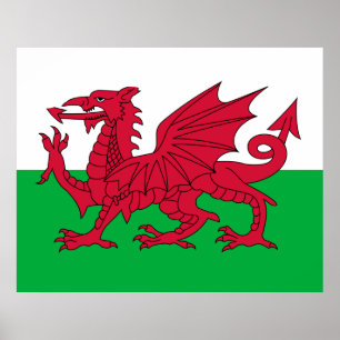 Walisische Flagge (Wales) (walisischer Drache) Poster