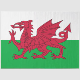 Walisische Flagge (Wales) (walisischer Drache) Seidenpapier