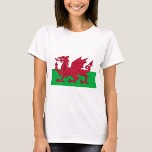 Walisische Flagge (Wales) (walisischer Drache) T-Shirt