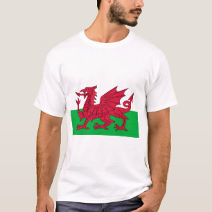 Walisische Flagge (Wales) (walisischer Drache) T-Shirt