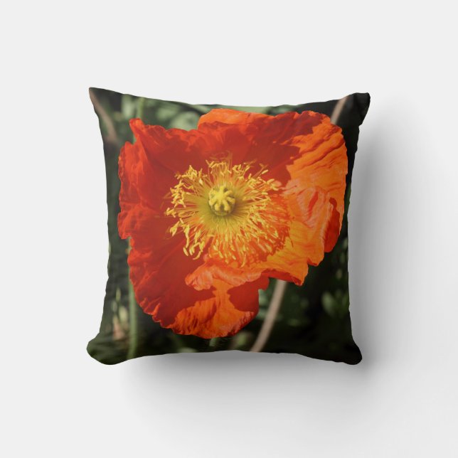 Walisische Mohnblume (Orange) Kissen (Vorderseite)