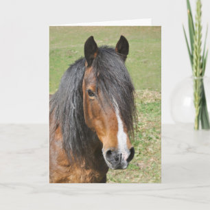 Walisische Sektion D Geburtstag Karte
