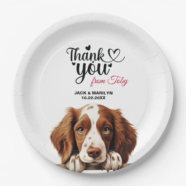 Walisische Springer Spaniel Pappteller (Vorderseite)