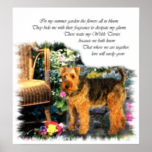 Walisische Terrier Art Print Poster