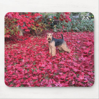 Walisische-Terrier-Mauspad Mousepad
