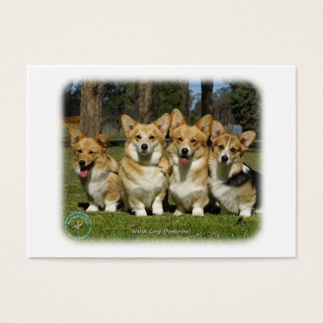 Walisischer Corgi (Pembroke) (Vorderseite)