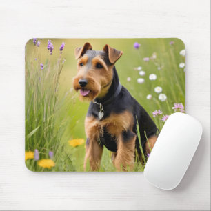 Walisischer Terrier in Wildblume Wiese Mousepad