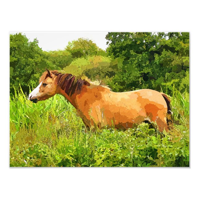 WALISISCHES PONY FOTODRUCK (Vorne)