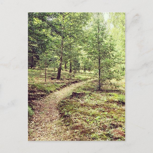 Walk in the park postkarte (Vorderseite)