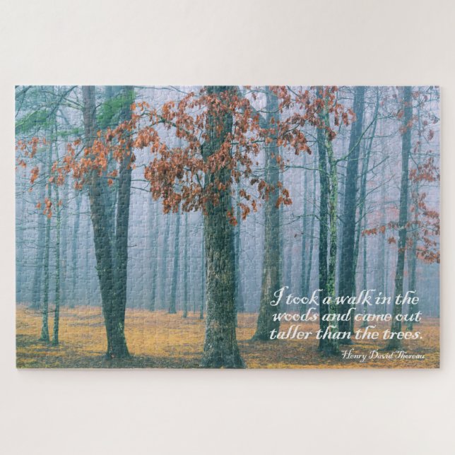 Walk in the Woods - 20x30 - 1014 Stk. Puzzle (Horizontal)