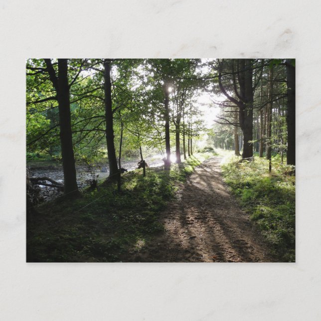 "Walk Near River" Northumberland Post Card Postkarte (Vorderseite)