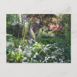 Walk Postkarte