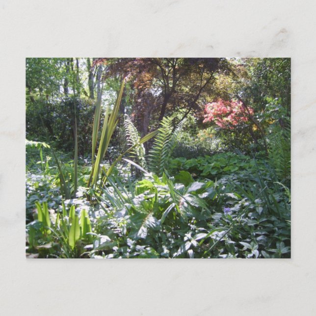 Walk Postkarte (Vorderseite)