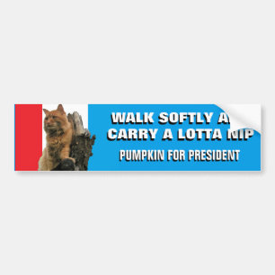 Walk Softly und Carry Nip Pumpkin für Präsident Autoaufkleber