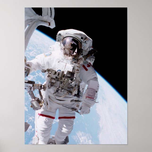 Walk (STS-100) Poster (Vorne)