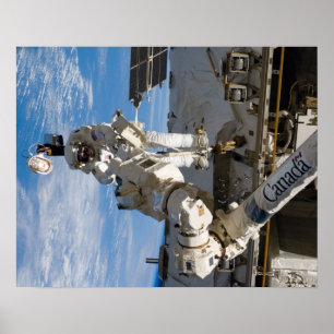 Walk (STS-119) Poster