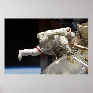 Walk (STS-133) Poster