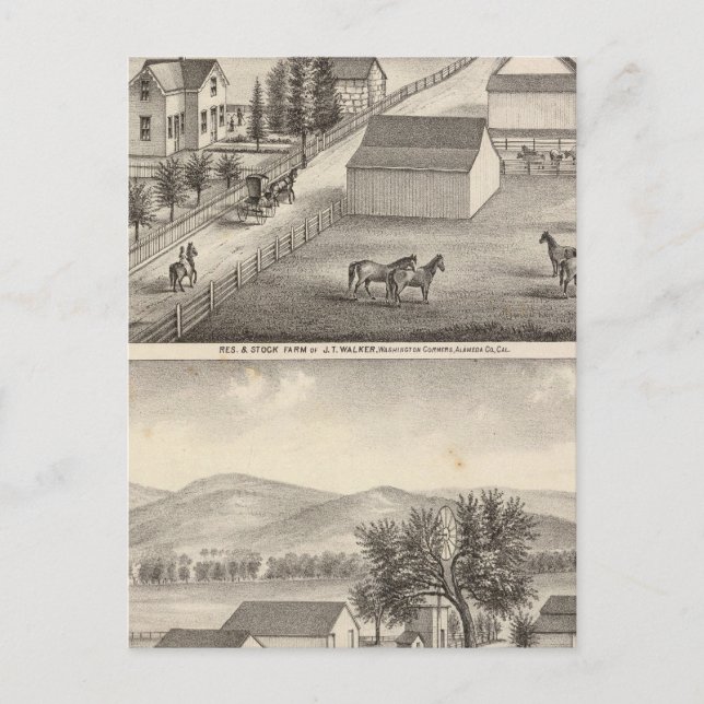 Walker, Knittel-Residenzen, Bauernhöfe Postkarte (Vorderseite)